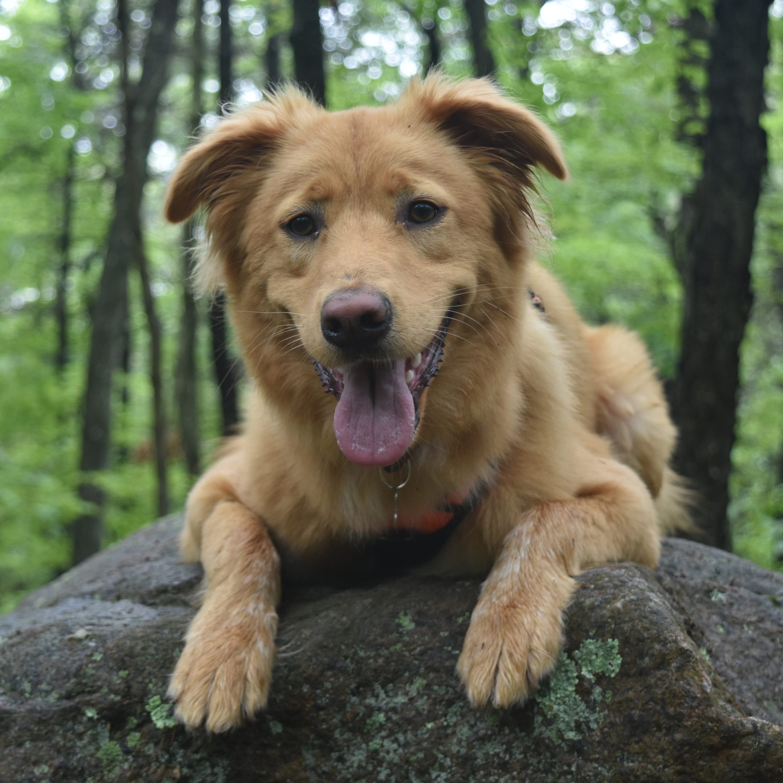 Ainhoa Jimenez Quintas, Ibiza