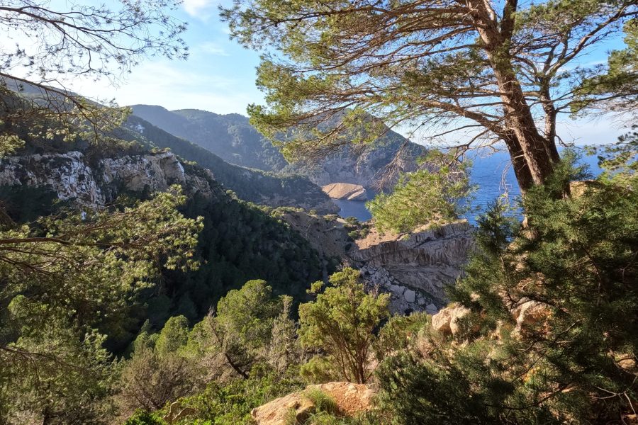 Senderismo en Cala Aubarca