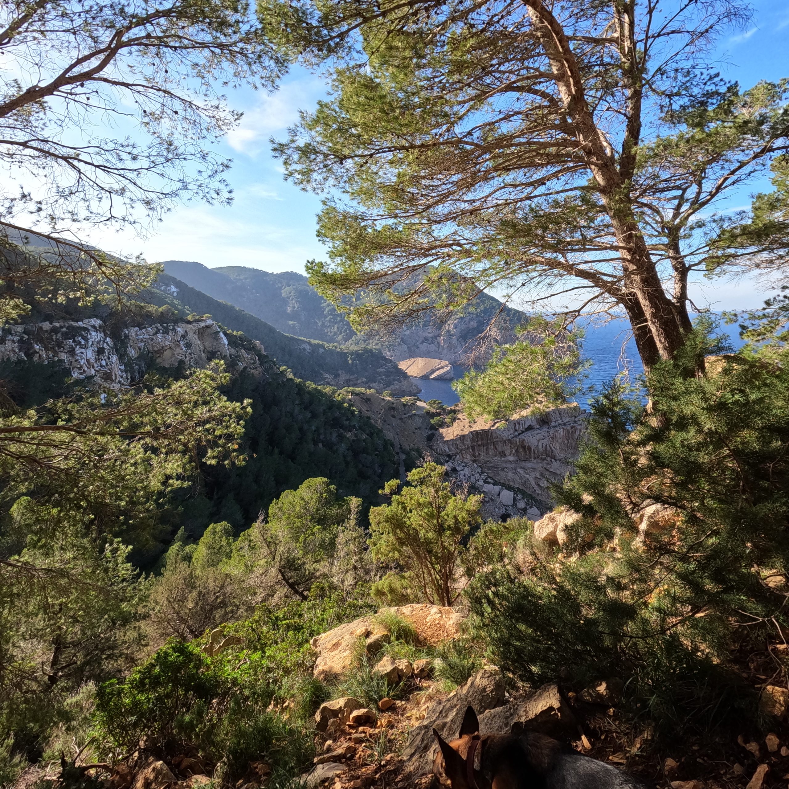 Senderismo en Cala Aubarca