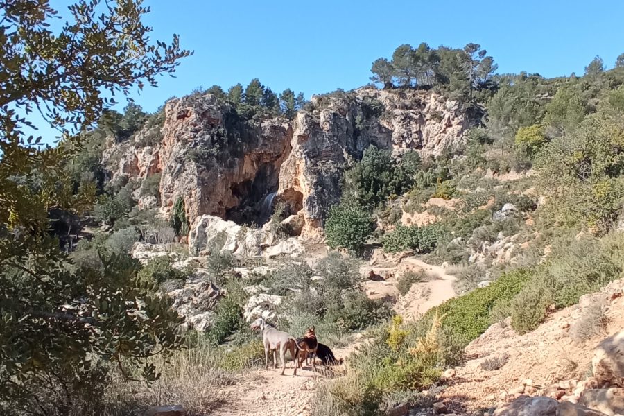 Senderismo en el Maigmó