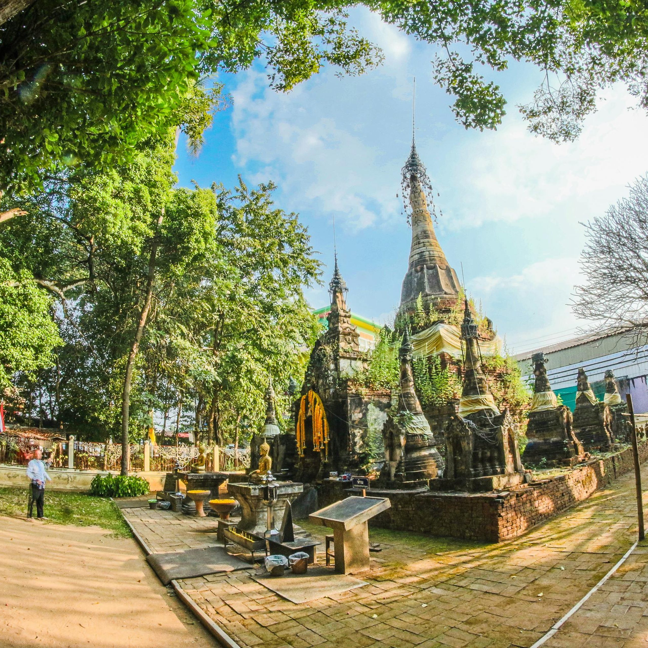 Viaje de Yoga en Tailandia · Chiang Mai